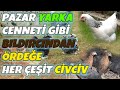 Pazar Yarka Dolu   Ankara Tavuk Pazarı