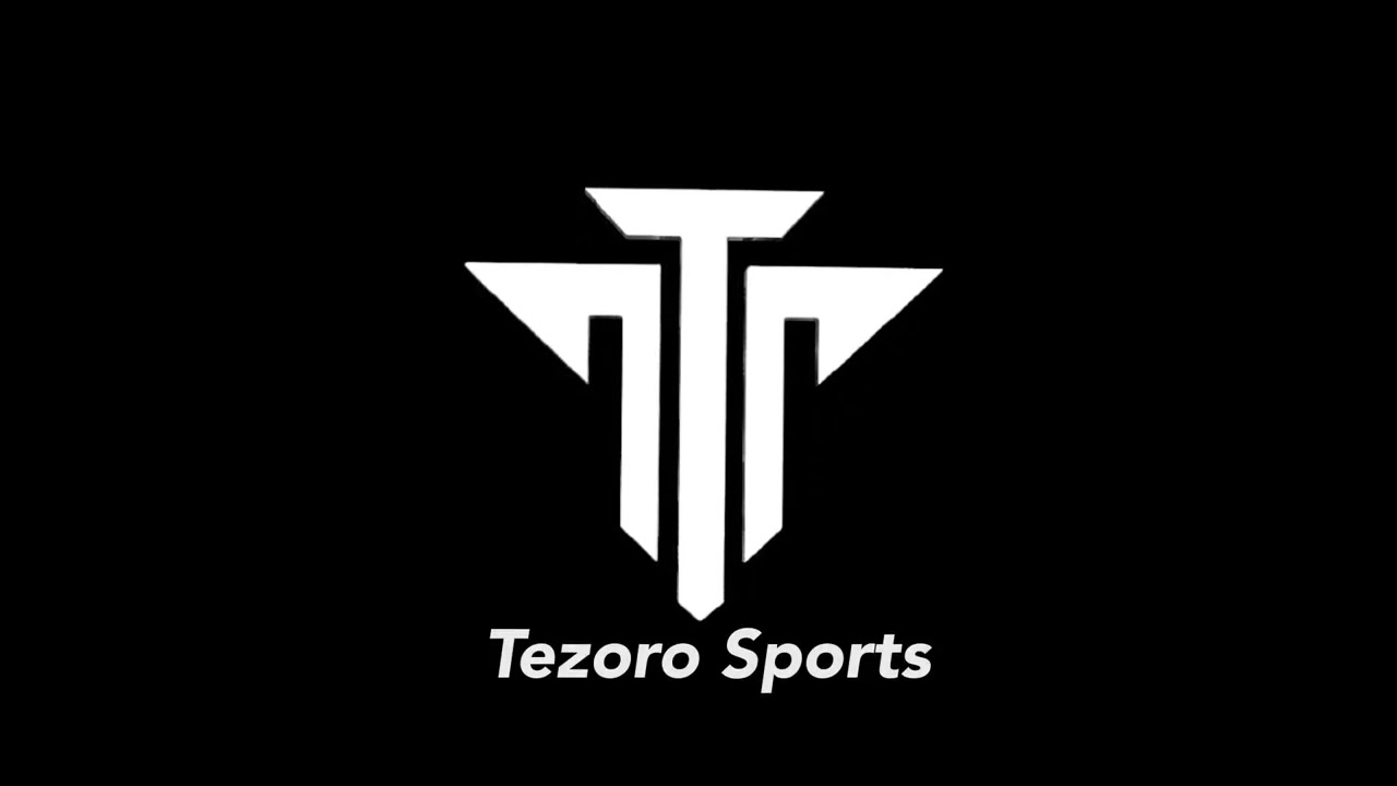 Logo Animation Tezoro (1)