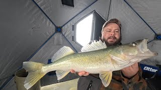 Ice Fishing on Lake Winnipeg Honey Hole still producing numbers. #fishing #walleye #fun