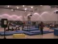 Alex tighe 2009 salto  parallel bar mens gymnastics