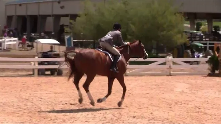 Belcort and Jocelyn Martin Pre Greens 3'3 31