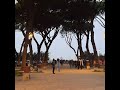 Веселые выходные в Риме с уличными музыкантами