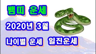 3월 뱀띠 운세 - 2020년 3월 경자년 기묘월 뱀띠 일진 사주 운세보기