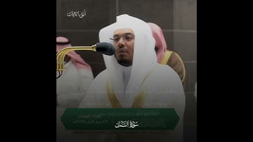سورة النمل (٢) ياسر الدوسري