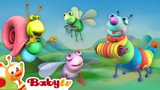 Reggae Chill And Jam 🎻 Big Bugs Band 🐛 | Music For Toddlers 🎵 | Kids Songs & Rhymes  @Babytv