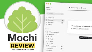 Mochi: Full Review (2020) screenshot 4