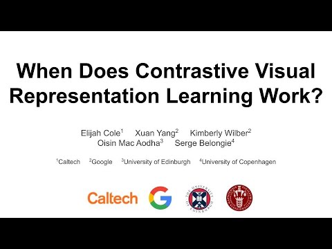 when does contrastive visual representation learning work github