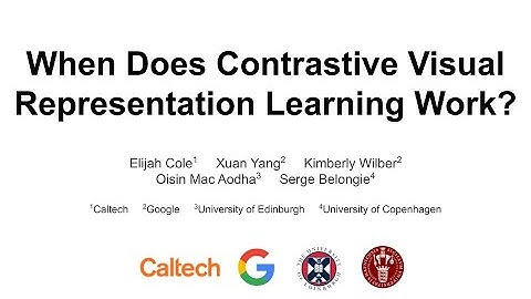 When Does Contrastive Visual Representation Learning Work? - CVPR 2022