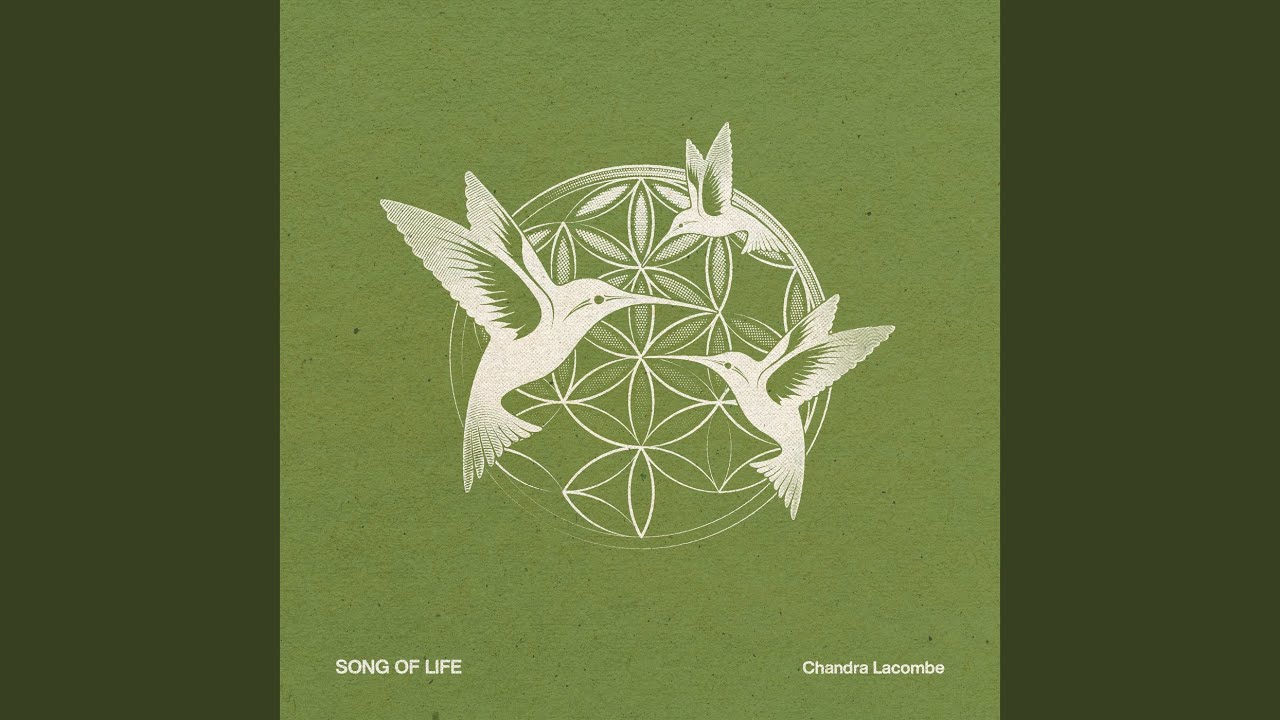 Song of Life: Notes on a Newly Released Quiet Track