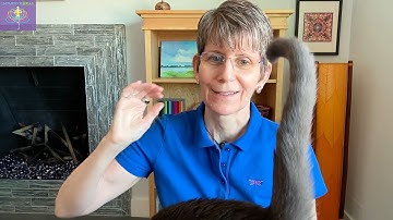 ⭐️Harmonize Your Back and Front with the JSJ Supervisors⭐️