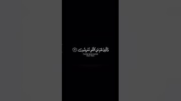 (قد افلح المؤمنون) | عمر سلدينسكي | سورة المؤمنون | شاشه سوداء #قرآن #قران_كريم