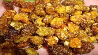 КАК ПРИГОТОВИТЬ ИЗЮМ С ФИЗАЛИСА КАК ПРИГОТОВИТЬ ИЗЮМ С ФИЗАЛИСА