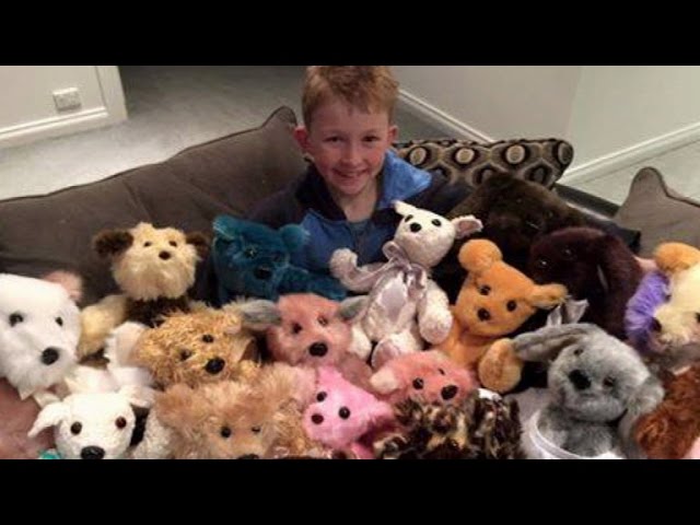12-Year-Old Boy Hand Sews 800 Teddy 