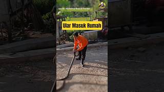 Kenapa Ular Sering Masuk Rumah?