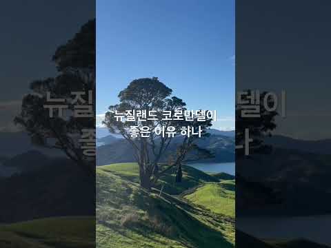 뉴질랜드 코로만델 여행 풍경4