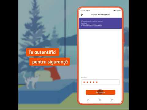 Cum plătești online cu un card virtual ING