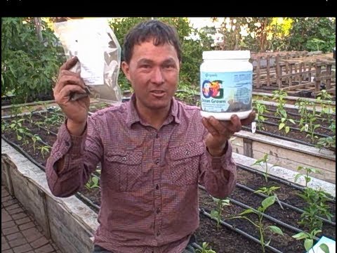 Amino Acid Organic Fertilizer Increases Yields and Will Not Burn Plants