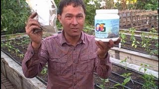 Amino Acid Organic Fertilizer Increases Yields and Will Not Burn Plants