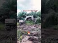 “Bobcat E80 Jagonya Cuci Parit di Lahan Sawit! 💪🌴” #shorts #diratani4114 #fyp