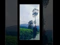 villa murah di pangalengan #wisata #hotel #village #viral #sutanraja #kearifanlokal