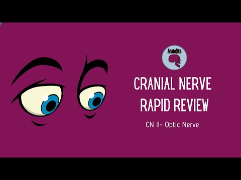 Rapid Review Cranial