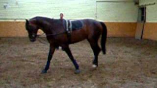 DSCF8364.AVI