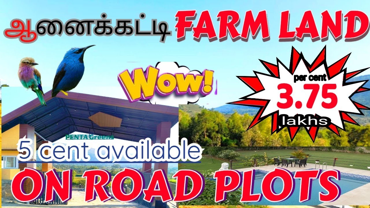 ANAIKATTI ❤️FARM LAND🛣️  DTP / RERA APPROVED PLOTS  SALE  👌 AMAZING AREA 🎄
