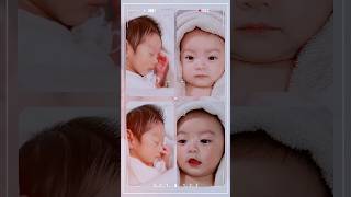 Kawaii desu 🔥 #cute #baby #japifam❤️ #creatorsearchinsights