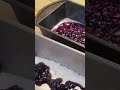 Blueberry Banana Loaf bread !