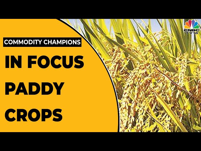 The Agri Picture: Experts Share Concerns On Paddy Sowing Area Down 17%, | Commodity Champions