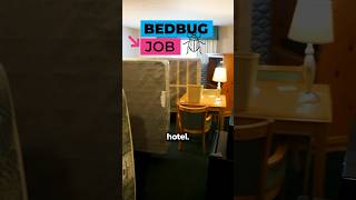 Bed Bugs in a HOTEL ??? pestcontrol bedbugs infestation pests