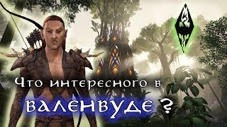 Что интересного в ВАЛЕНВУДЕ ? Босмеры-каннибалы и многое другое | TES Лор