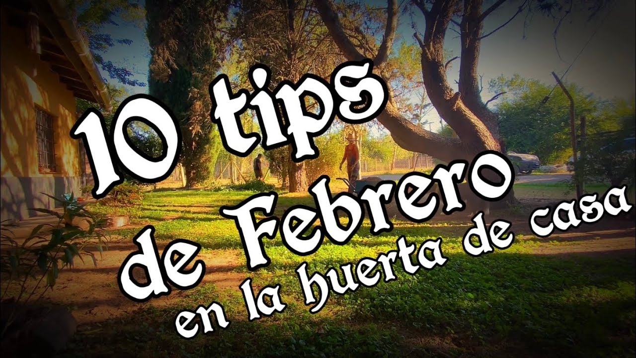 🌱10 tips de Huerta en Febrero🌻