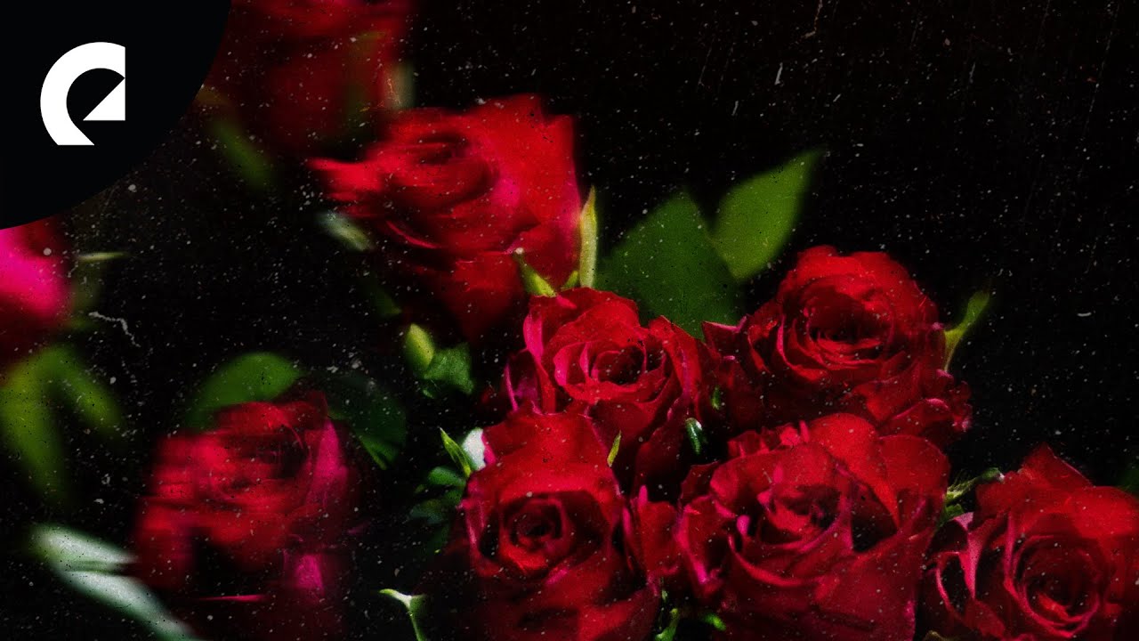 Roy Edwin Williams - My Valentine (Royalty Free Music) Roy Edwin Williams - My Valentine (Royalty Free Music)