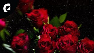 Roy Edwin Williams - My Valentine (Royalty Free Music)