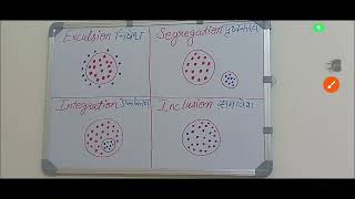 Concept of Exclusion, Segregation, Integration and Inclusion