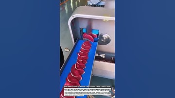 High-Speed Automatic Meat Slicing Machine – Educational Video.
