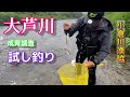 【鮎釣り2024】大芦川 小倉川漁協管内 鮎釣り解禁前 成育調査試し釣り！