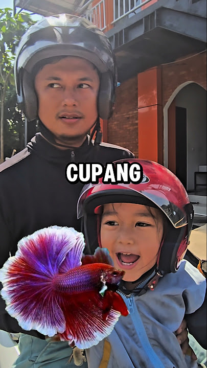 BELI CUPANG DI PERIKANAN TERBAGUS KOTA DEPOK‼️