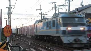 JR貨物 EF210-303号機（吹田）＋コキ24両　貨物列車63レ 2024.11.23