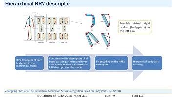 A Hierarchical Model for Action Recognition Based on Body Parts
