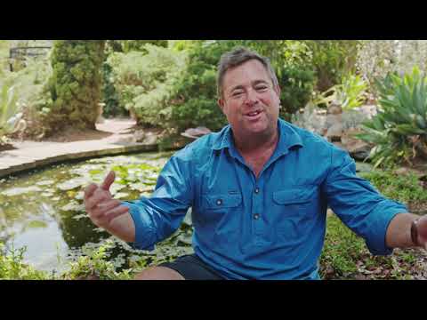 Jason Hodges explains