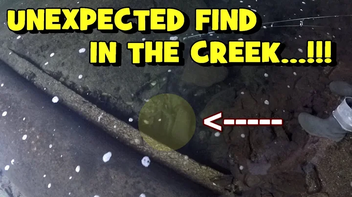 We Found An UNEXPECTED SPECIES in the CREEK! (Ft. ...