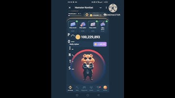 Daily cipher code 13 august #hamsterkombat #ciphercodes