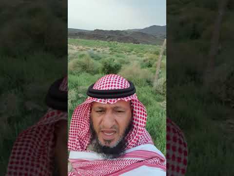 قاعدة قرأنية والعاقبة للمتقين