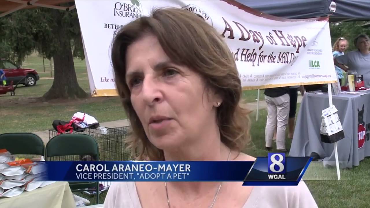 Group gathers in Lancaster to protest puppy mills