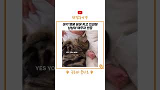 아기 옆에 붙어 자고 있길래 고양이 깨우자 반응 #shorts