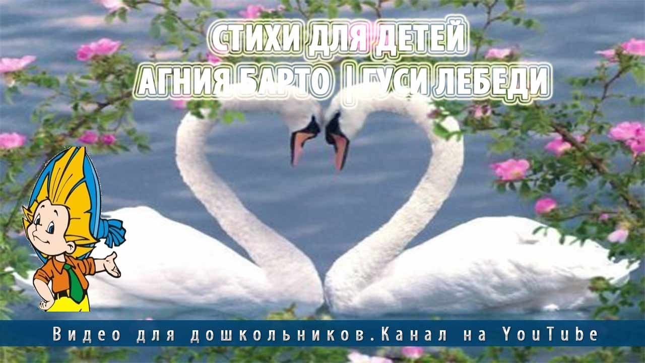 Стих детям про лебедя Стих детям про лебедя