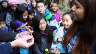 Walden West - Big Brown Bat Field Class - Rosa Kissing a Banana Slug