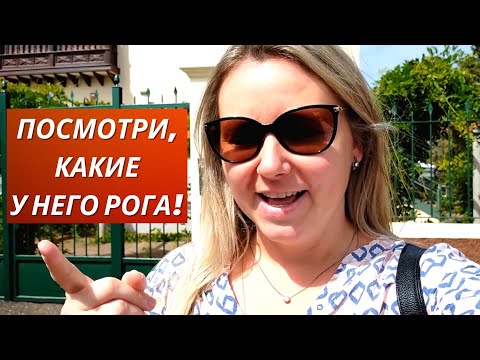 Испания. Vlog: Эта Песня Хороша, Начинай Сначала! 19.07.2023